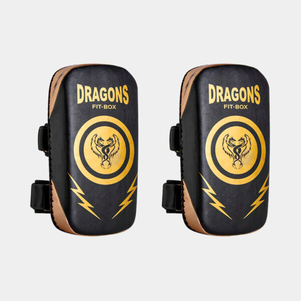 Escudo Pao - Dragons Fit-Box (Negro/Dorado)
