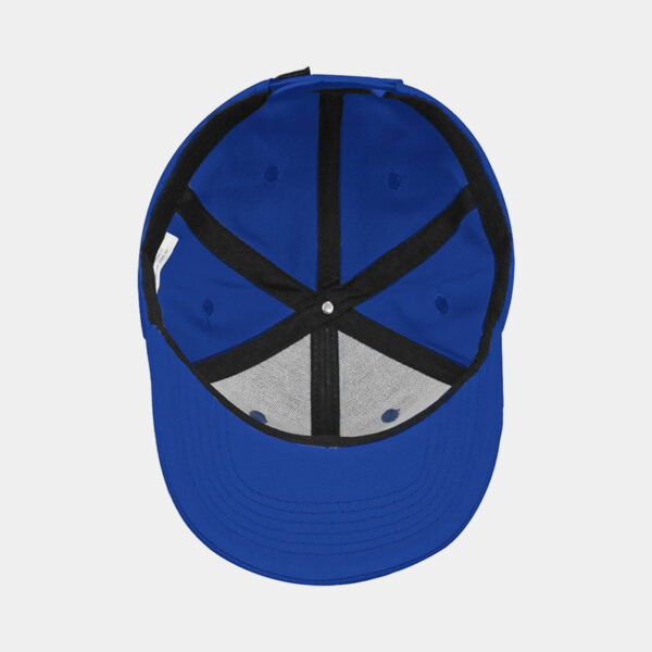 Gorra - Venum Classic Logo (Azul)