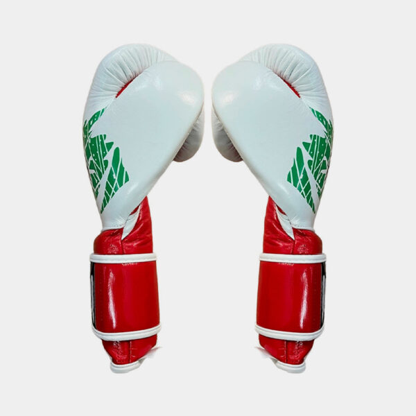 Guantes De Boxeo Con Cierre De Gancho Y Bucle - Cleto Reyes (Blanco/Rojo/Verde)